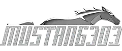 Mustang303